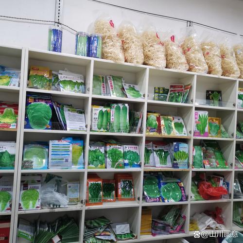 种子店赚钱吗？农作物种子经营的盈利逻辑与入行指南