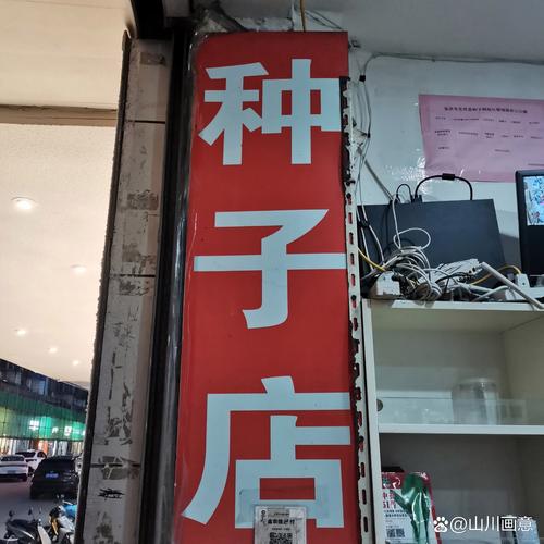 种子店也很赚钱吗？——农作物种子经营的盈利逻辑与生存法则